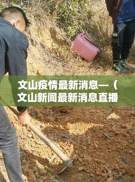 文山疫情最新消息—(文山新闻最新消息直播) 文山疫情最新消息—(文山新闻最新消息直播)