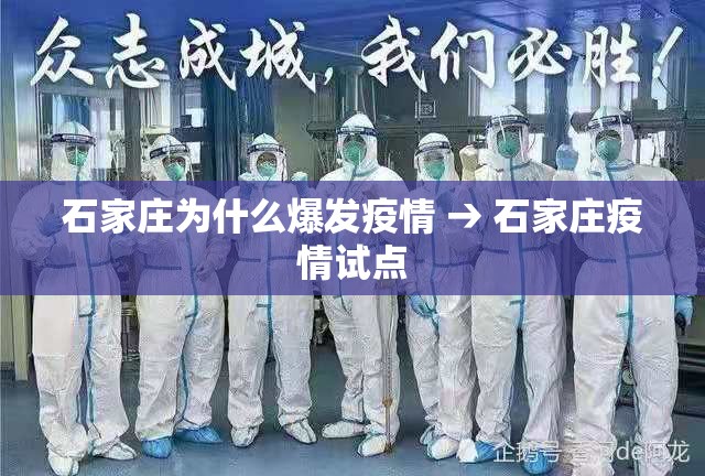 石家庄为什么爆发疫情 → 石家庄疫情试点