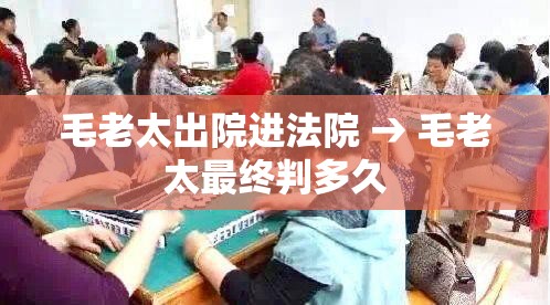 毛老太出院进法院 → 毛老太最终判多久