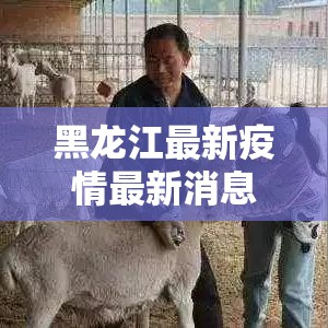 黑龙江最新疫情最新消息 → 黑龙江贰0贰陆年疫情最新情况